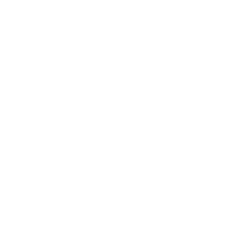 file asset